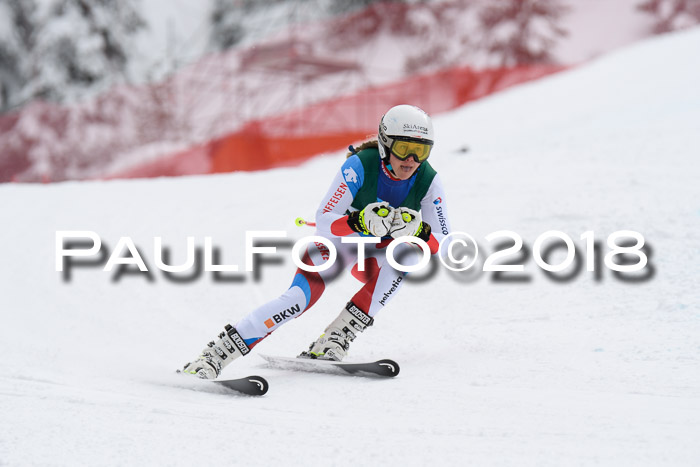 FIS, Int. Dt. Meisterschaft Super-G, NC,  Damen + Herren, 23.03.2018