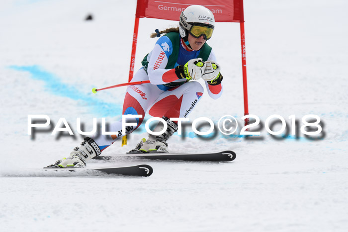 FIS, Int. Dt. Meisterschaft Super-G, NC,  Damen + Herren, 23.03.2018