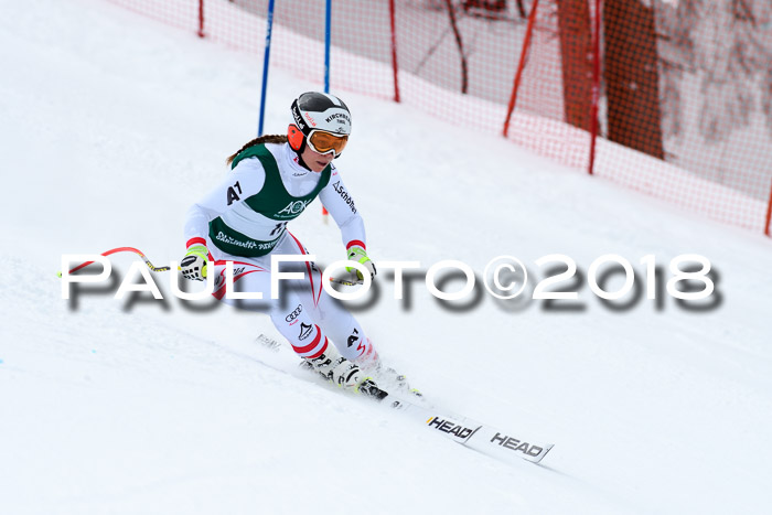 FIS, Int. Dt. Meisterschaft Super-G, NC,  Damen + Herren, 23.03.2018
