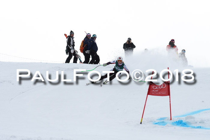 FIS, Int. Dt. Meisterschaft Super-G, NC,  Damen + Herren, 23.03.2018