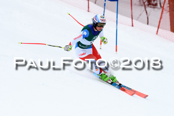 FIS, Int. Dt. Meisterschaft Super-G, NC,  Damen + Herren, 23.03.2018