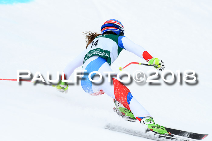 FIS, Int. Dt. Meisterschaft Super-G, NC,  Damen + Herren, 23.03.2018