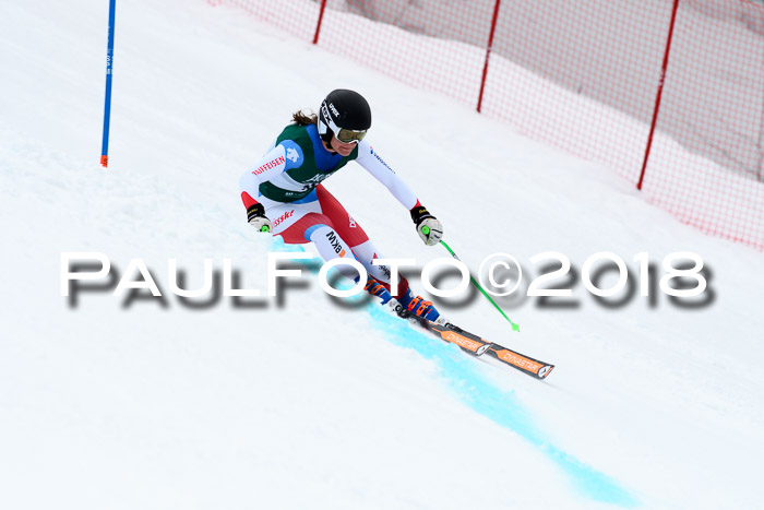 FIS, Int. Dt. Meisterschaft Super-G, NC,  Damen + Herren, 23.03.2018