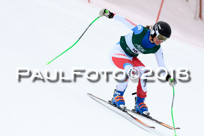 FIS, Int. Dt. Meisterschaft Super-G, NC,  Damen + Herren, 23.03.2018