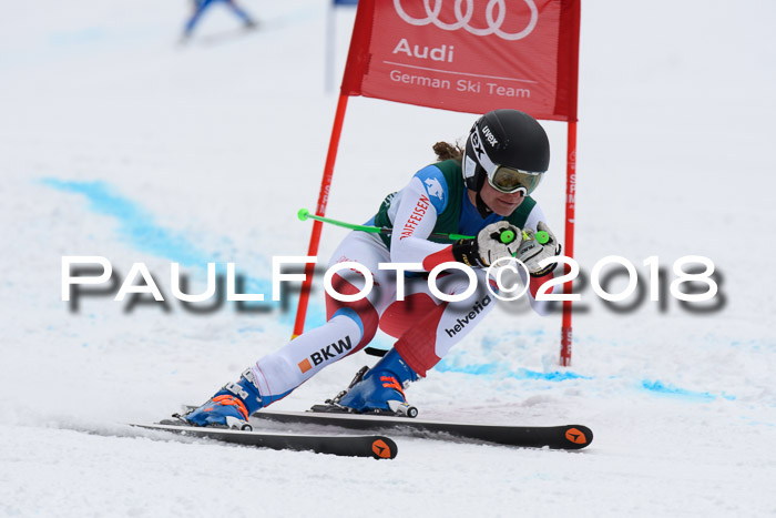 FIS, Int. Dt. Meisterschaft Super-G, NC,  Damen + Herren, 23.03.2018