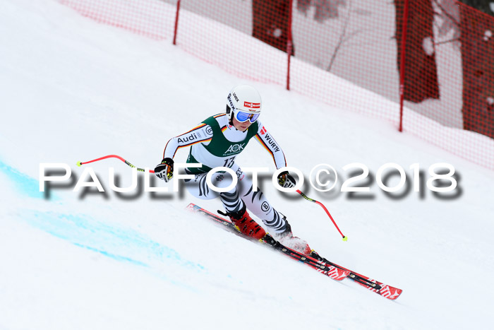 FIS, Int. Dt. Meisterschaft Super-G, NC,  Damen + Herren, 23.03.2018