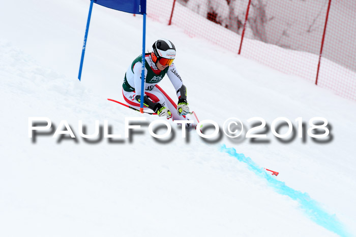 FIS, Int. Dt. Meisterschaft Super-G, NC,  Damen + Herren, 23.03.2018