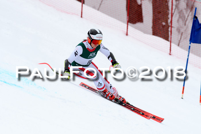 FIS, Int. Dt. Meisterschaft Super-G, NC,  Damen + Herren, 23.03.2018