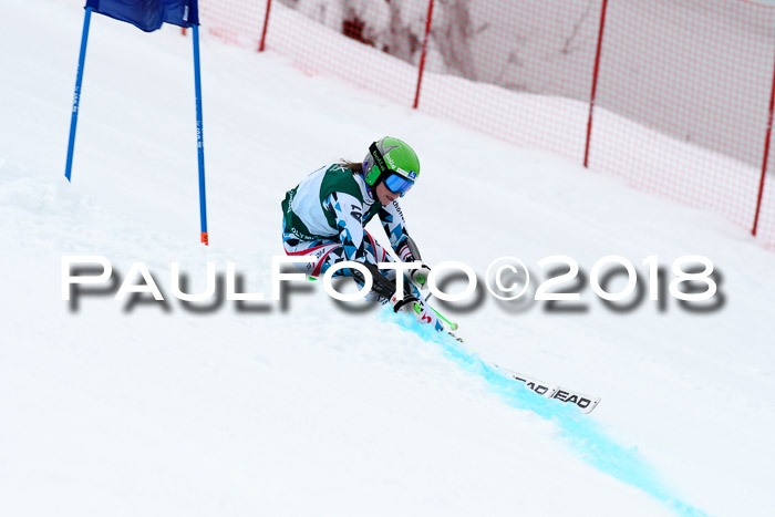 FIS, Int. Dt. Meisterschaft Super-G, NC,  Damen + Herren, 23.03.2018