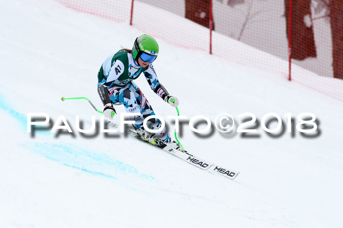 FIS, Int. Dt. Meisterschaft Super-G, NC,  Damen + Herren, 23.03.2018