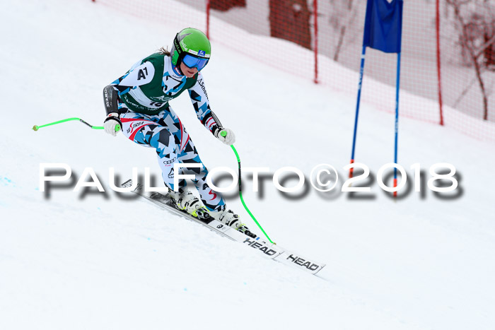 FIS, Int. Dt. Meisterschaft Super-G, NC,  Damen + Herren, 23.03.2018