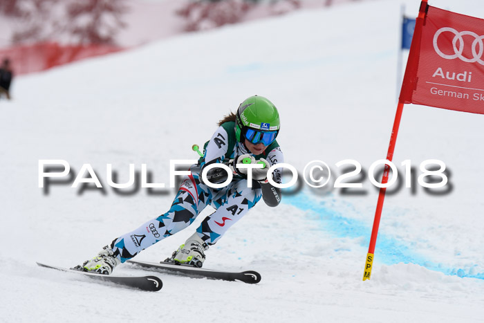 FIS, Int. Dt. Meisterschaft Super-G, NC,  Damen + Herren, 23.03.2018