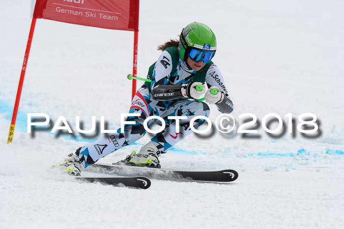 FIS, Int. Dt. Meisterschaft Super-G, NC,  Damen + Herren, 23.03.2018