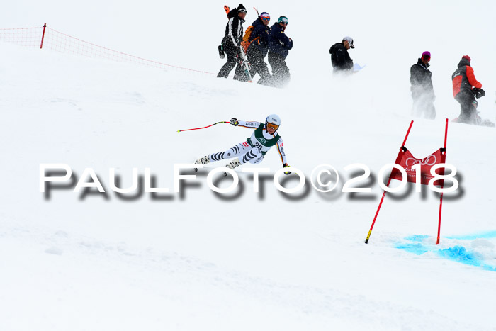 FIS, Int. Dt. Meisterschaft Super-G, NC,  Damen + Herren, 23.03.2018
