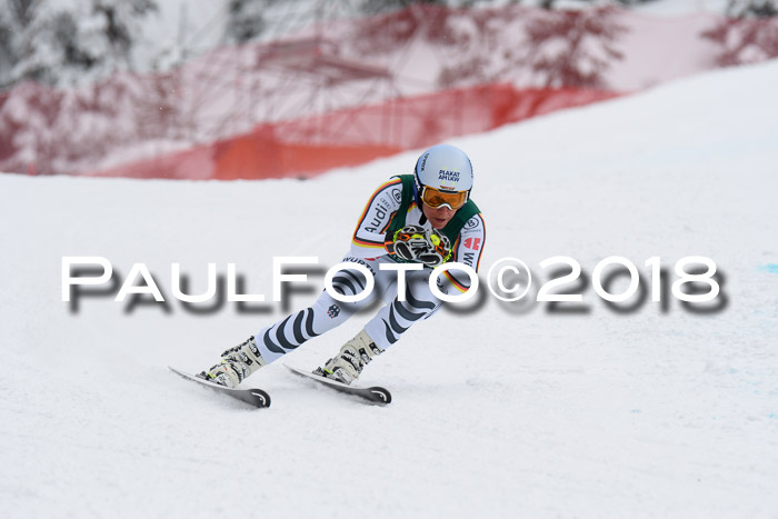 FIS, Int. Dt. Meisterschaft Super-G, NC,  Damen + Herren, 23.03.2018