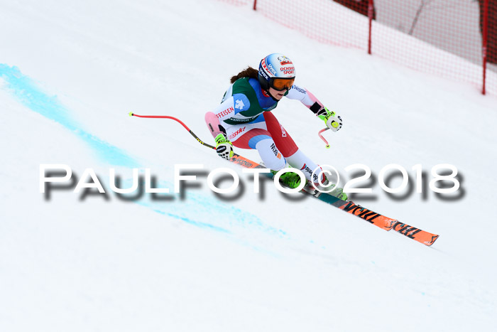 FIS, Int. Dt. Meisterschaft Super-G, NC,  Damen + Herren, 23.03.2018
