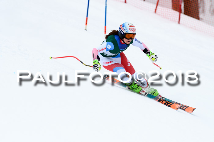 FIS, Int. Dt. Meisterschaft Super-G, NC,  Damen + Herren, 23.03.2018
