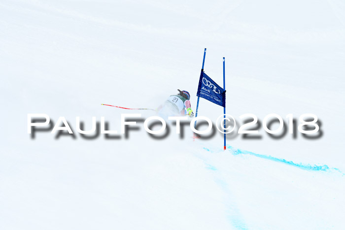 FIS, Int. Dt. Meisterschaft Super-G, NC,  Damen + Herren, 23.03.2018
