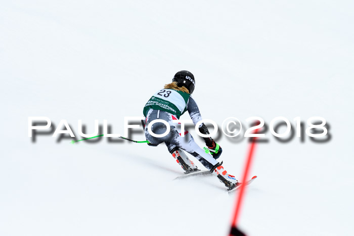 FIS, Int. Dt. Meisterschaft Super-G, NC,  Damen + Herren, 23.03.2018