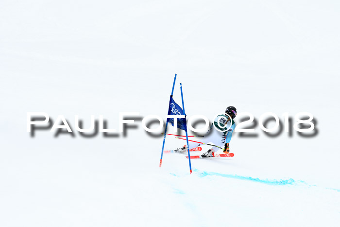 FIS, Int. Dt. Meisterschaft Super-G, NC,  Damen + Herren, 23.03.2018