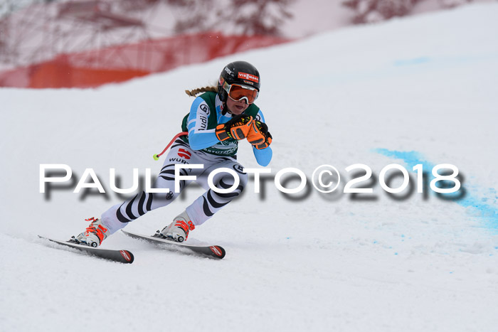 FIS, Int. Dt. Meisterschaft Super-G, NC,  Damen + Herren, 23.03.2018