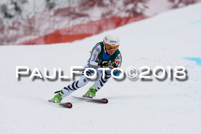 FIS, Int. Dt. Meisterschaft Super-G, NC,  Damen + Herren, 23.03.2018