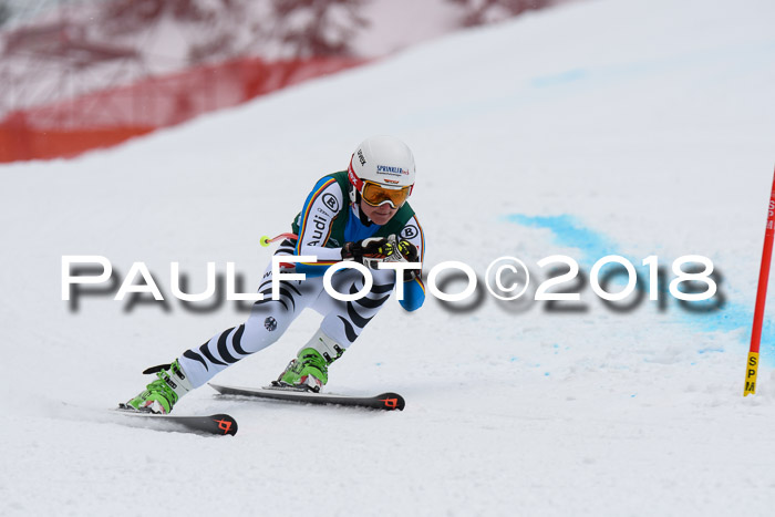 FIS, Int. Dt. Meisterschaft Super-G, NC,  Damen + Herren, 23.03.2018