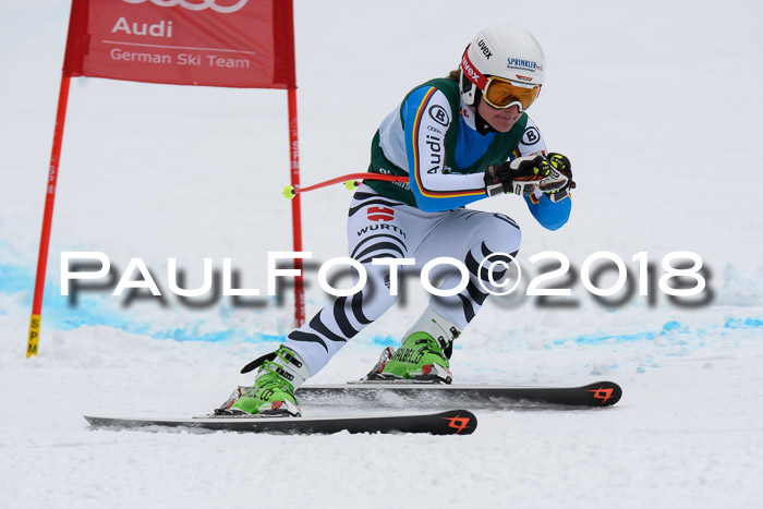 FIS, Int. Dt. Meisterschaft Super-G, NC,  Damen + Herren, 23.03.2018
