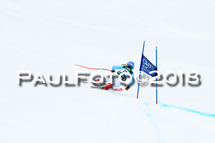FIS, Int. Dt. Meisterschaft Super-G, NC,  Damen + Herren, 23.03.2018