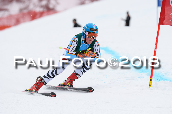 FIS, Int. Dt. Meisterschaft Super-G, NC,  Damen + Herren, 23.03.2018