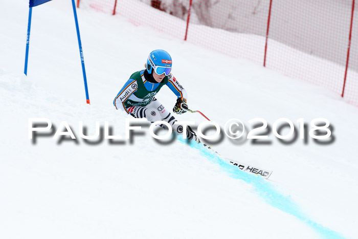 FIS, Int. Dt. Meisterschaft Super-G, NC,  Damen + Herren, 23.03.2018