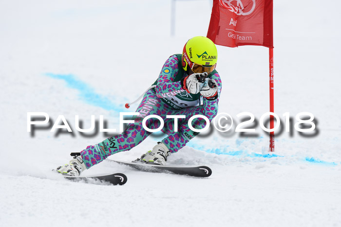 FIS, Int. Dt. Meisterschaft Super-G, NC,  Damen + Herren, 23.03.2018