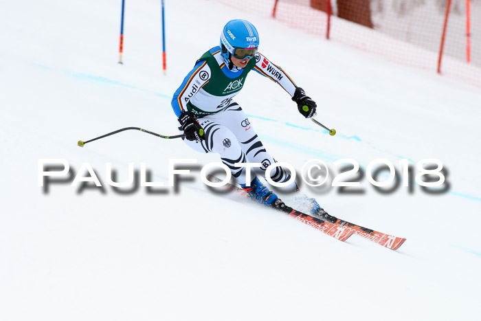 FIS, Int. Dt. Meisterschaft Super-G, NC,  Damen + Herren, 23.03.2018