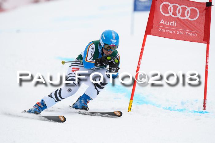 FIS, Int. Dt. Meisterschaft Super-G, NC,  Damen + Herren, 23.03.2018