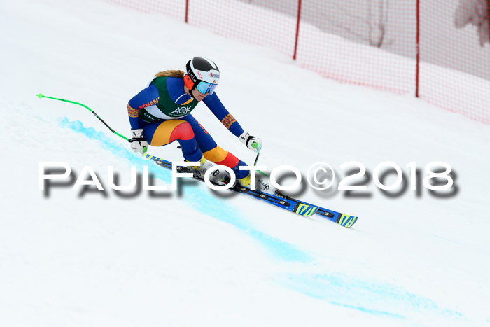 FIS, Int. Dt. Meisterschaft Super-G, NC,  Damen + Herren, 23.03.2018