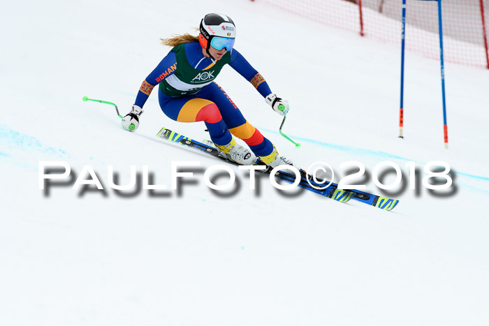 FIS, Int. Dt. Meisterschaft Super-G, NC,  Damen + Herren, 23.03.2018