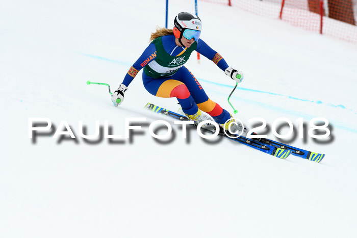 FIS, Int. Dt. Meisterschaft Super-G, NC,  Damen + Herren, 23.03.2018