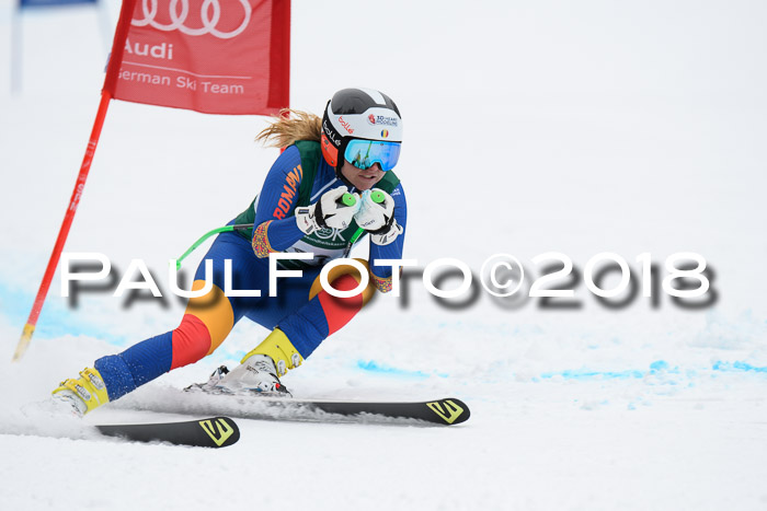 FIS, Int. Dt. Meisterschaft Super-G, NC,  Damen + Herren, 23.03.2018