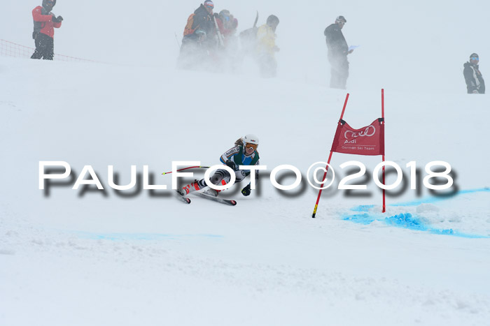 FIS, Int. Dt. Meisterschaft Super-G, NC,  Damen + Herren, 23.03.2018