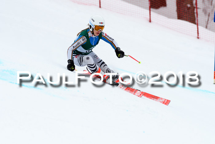 FIS, Int. Dt. Meisterschaft Super-G, NC,  Damen + Herren, 23.03.2018