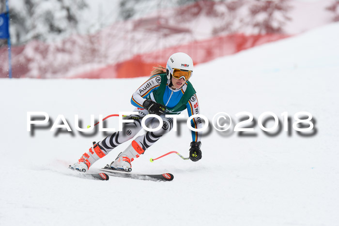 FIS, Int. Dt. Meisterschaft Super-G, NC,  Damen + Herren, 23.03.2018
