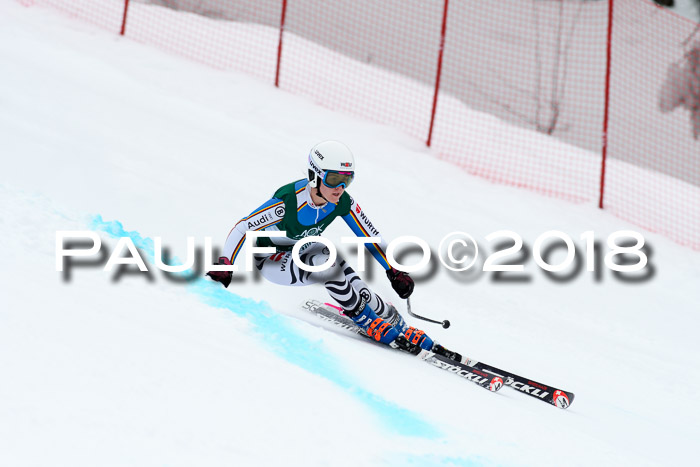 FIS, Int. Dt. Meisterschaft Super-G, NC,  Damen + Herren, 23.03.2018
