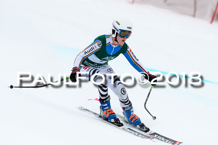 FIS, Int. Dt. Meisterschaft Super-G, NC,  Damen + Herren, 23.03.2018