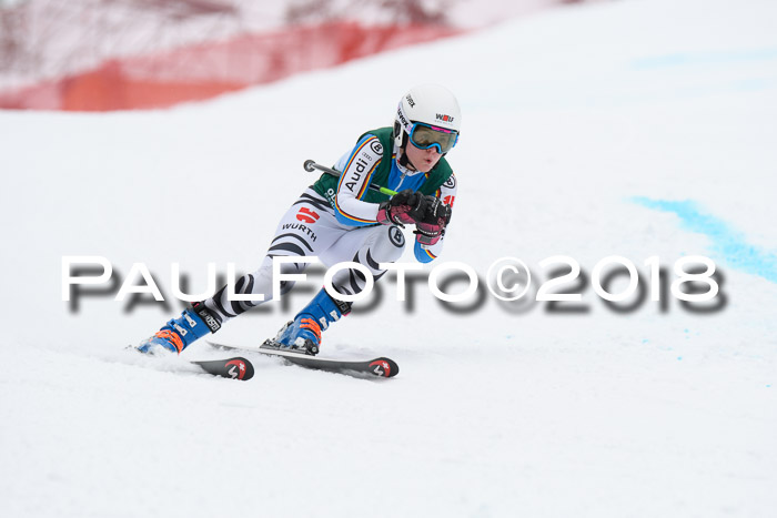 FIS, Int. Dt. Meisterschaft Super-G, NC,  Damen + Herren, 23.03.2018