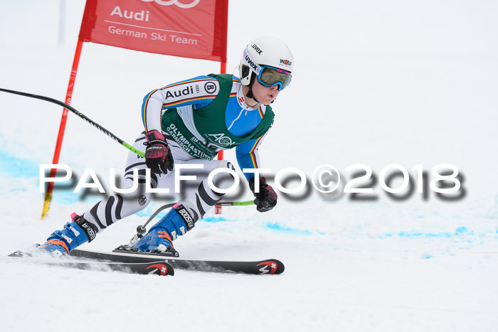 FIS, Int. Dt. Meisterschaft Super-G, NC,  Damen + Herren, 23.03.2018