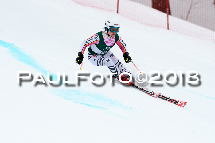 FIS, Int. Dt. Meisterschaft Super-G, NC,  Damen + Herren, 23.03.2018