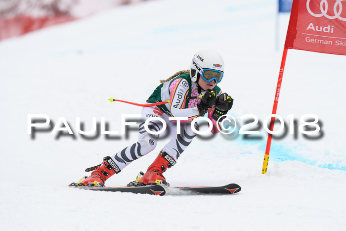 FIS, Int. Dt. Meisterschaft Super-G, NC,  Damen + Herren, 23.03.2018
