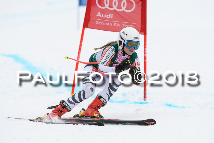 FIS, Int. Dt. Meisterschaft Super-G, NC,  Damen + Herren, 23.03.2018