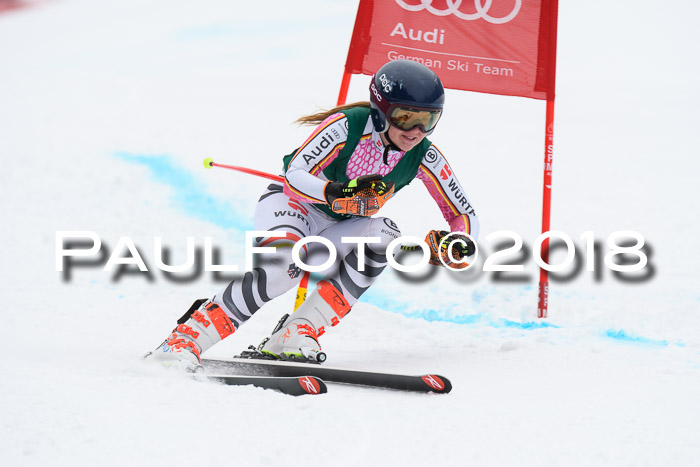 FIS, Int. Dt. Meisterschaft Super-G, NC,  Damen + Herren, 23.03.2018