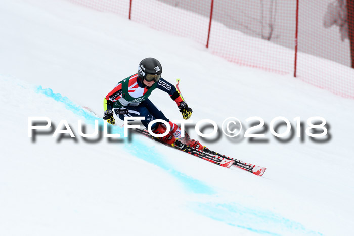 FIS, Int. Dt. Meisterschaft Super-G, NC,  Damen + Herren, 23.03.2018